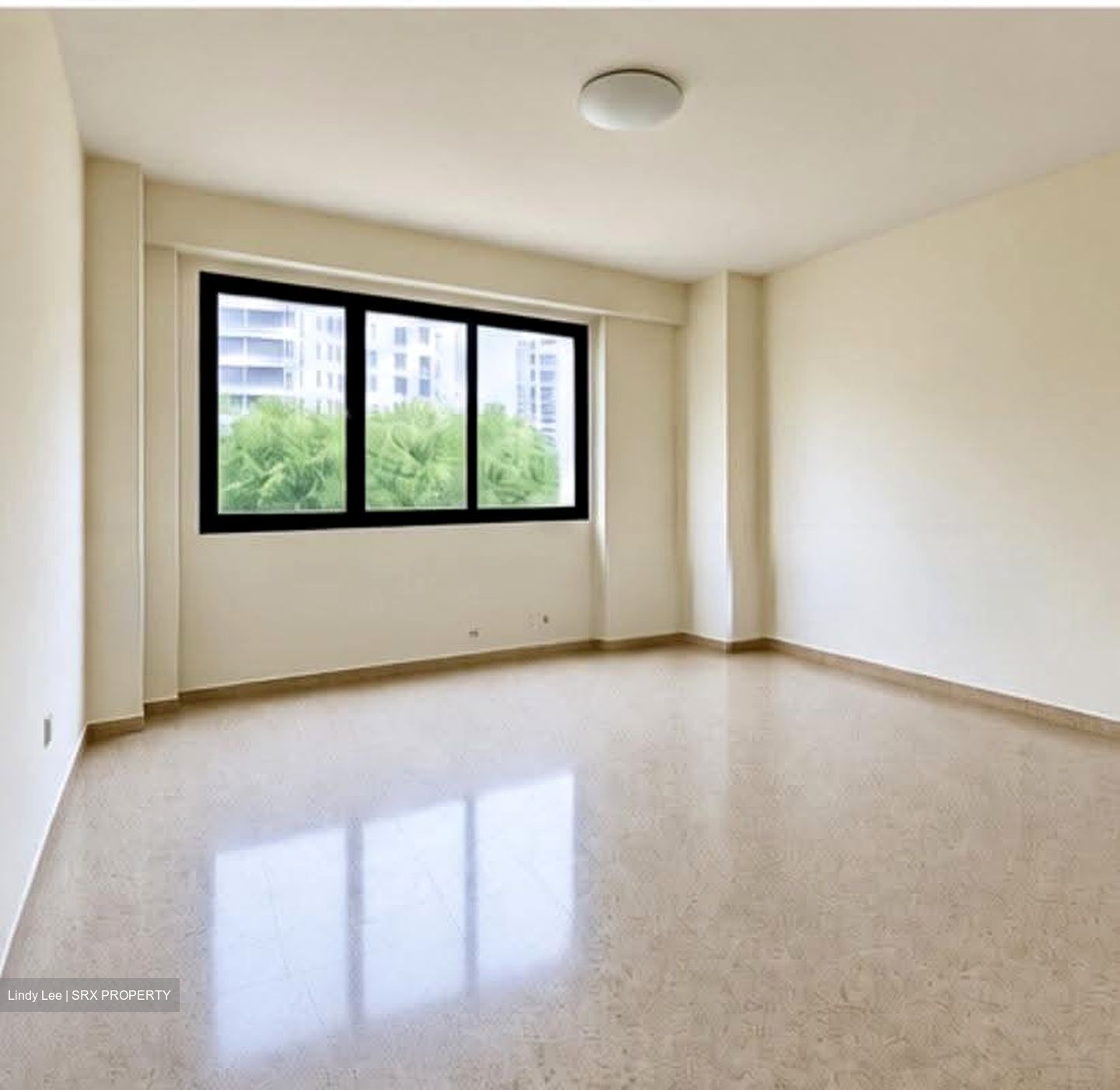 Central Green Condominium (D3), Condominium #615312121